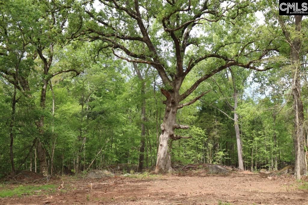 Beulah Road  Photo 15