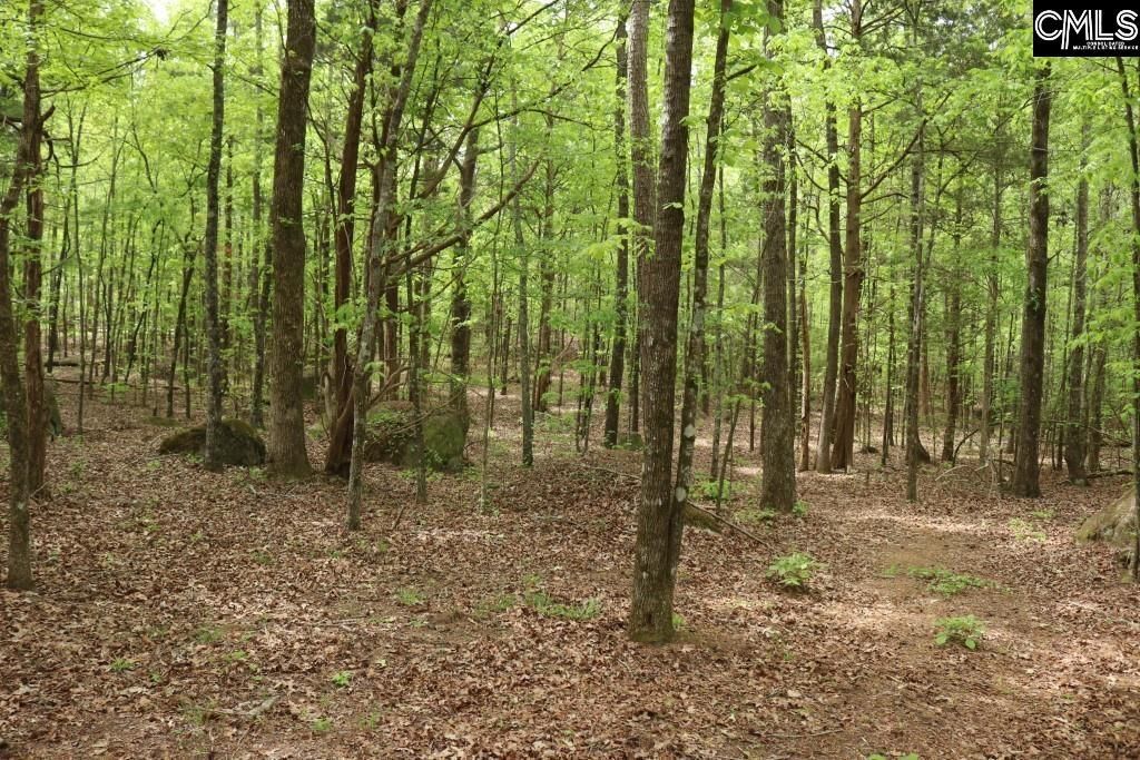 Beulah Road  Photo 16