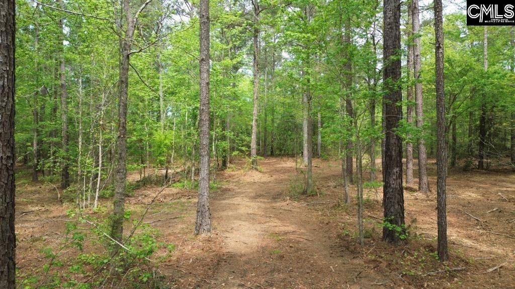 Beulah Road  Photo 6