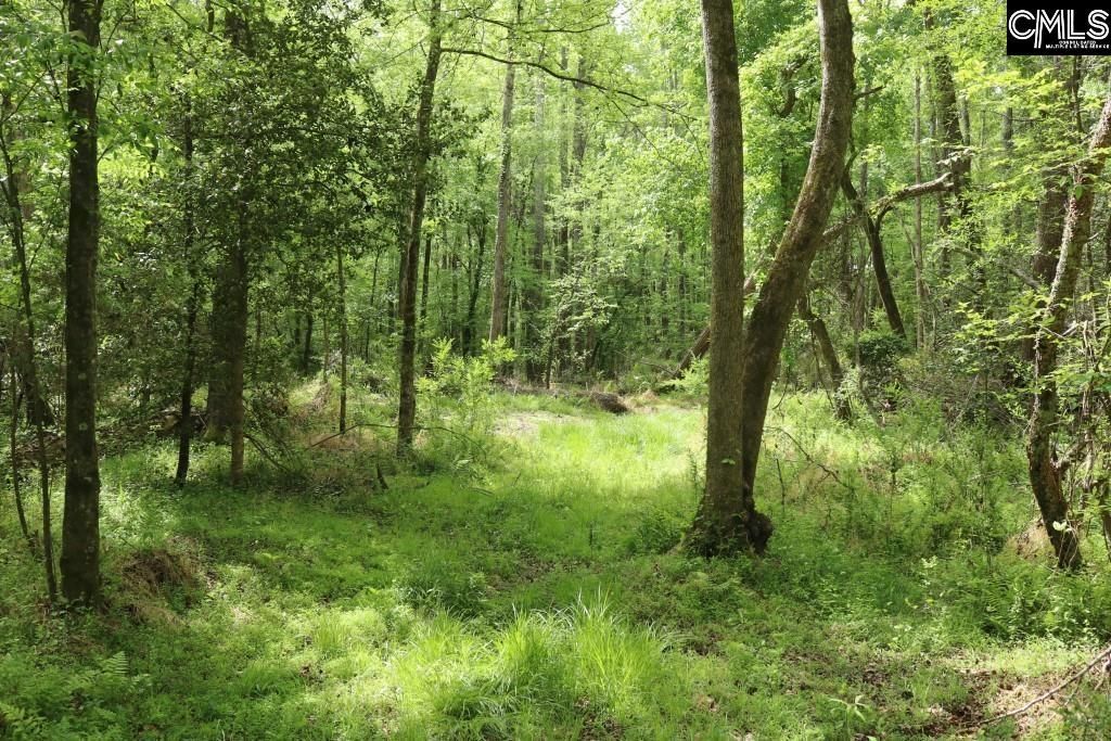 Beulah Road  Photo 7