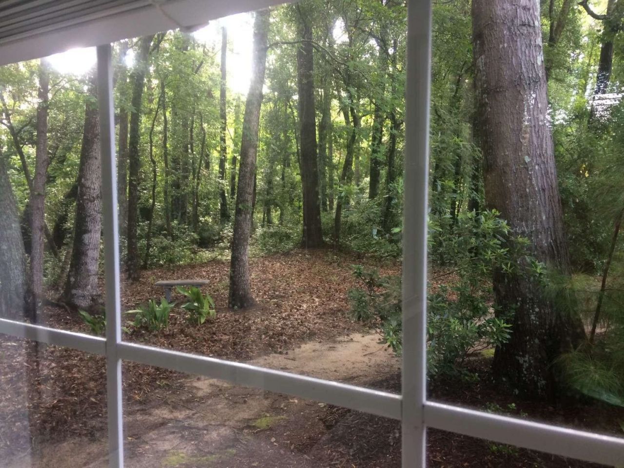 151 Patriot Ln.  Photo 31