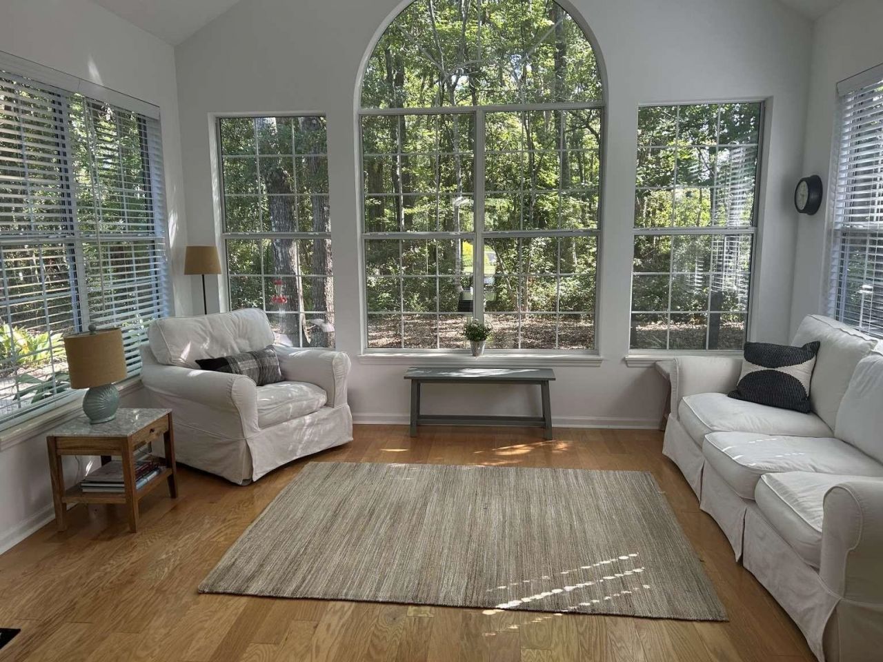 151 Patriot Ln.  Photo 5