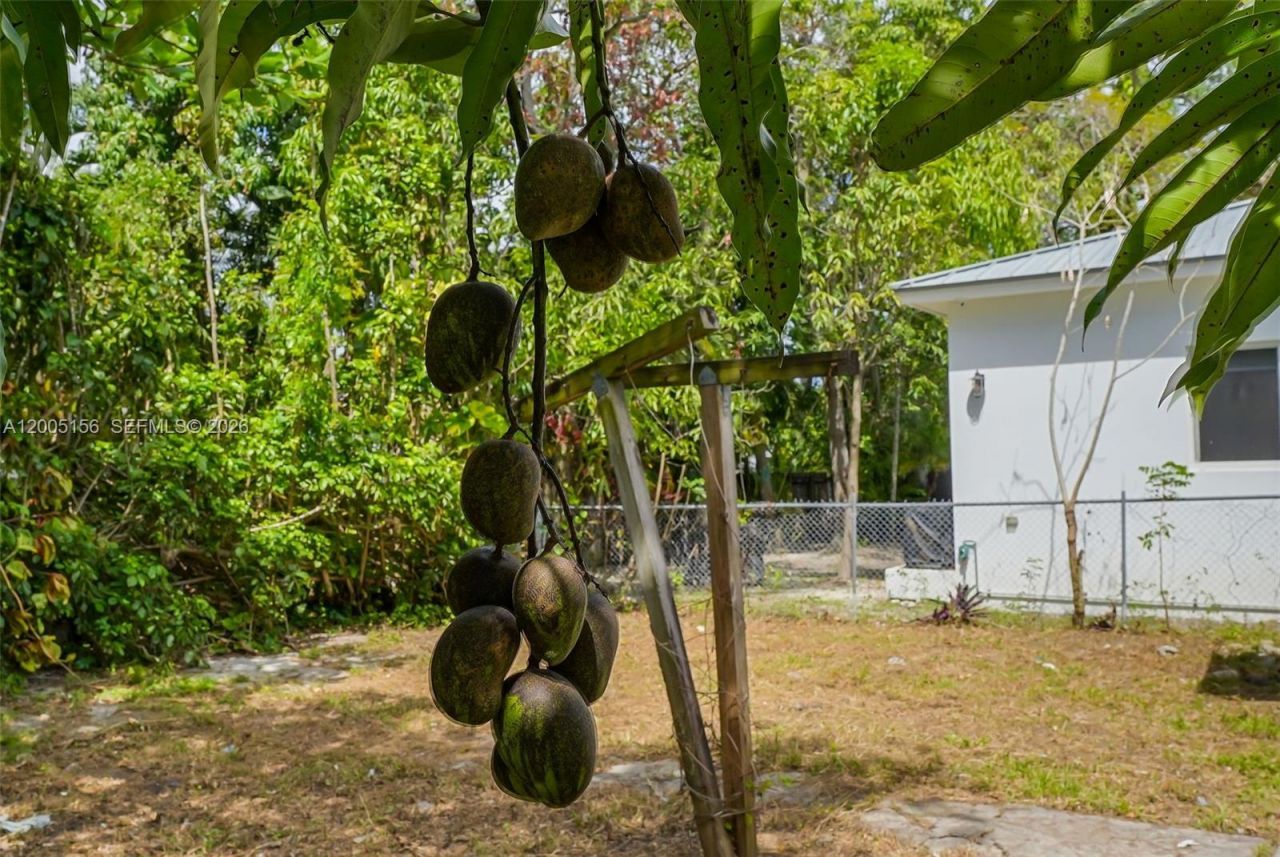 3637 Frow Ave , Miami, FL 33133 Photo