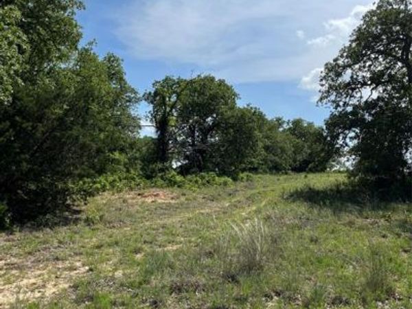 Lot 12 Clare Road , Poolville, TX 76487