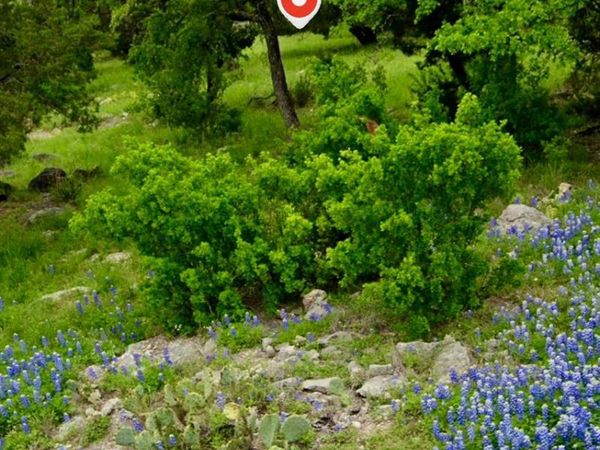 504 Lost Dutchman, Horseshoe Bay, TX 78657