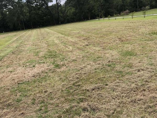 8736 Patterson Cemetery Ln, Slaughter, LA 70777