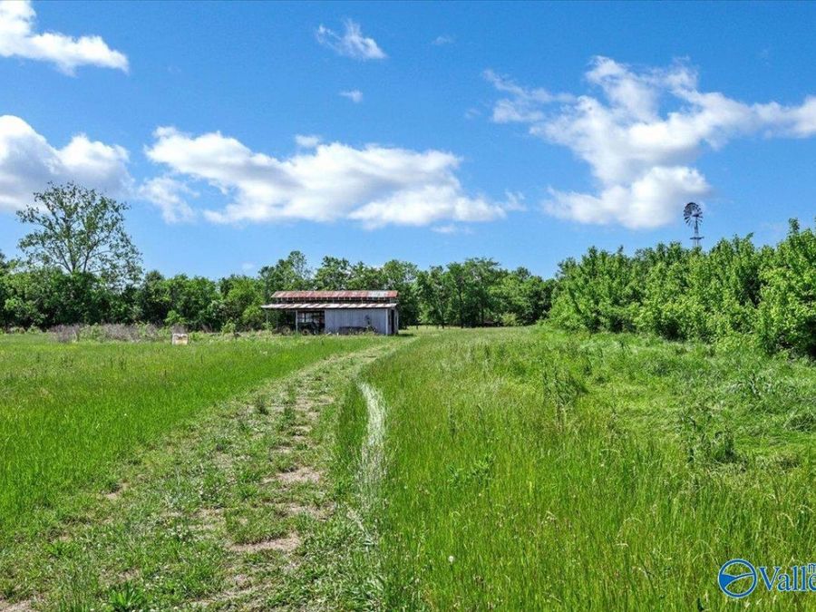 Property Image 40