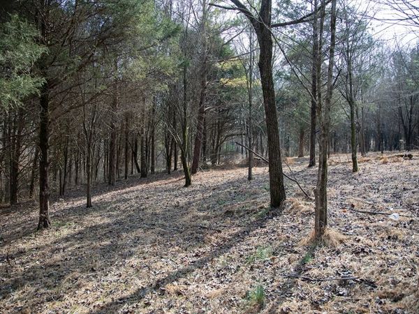 5.40 Ac. Tulip Ln, Cookeville, TN 38501
