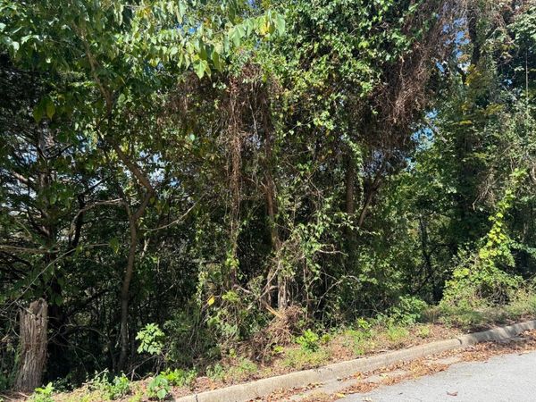 Lot 22 Rose Oneill Drive , Branson, MO 65616
