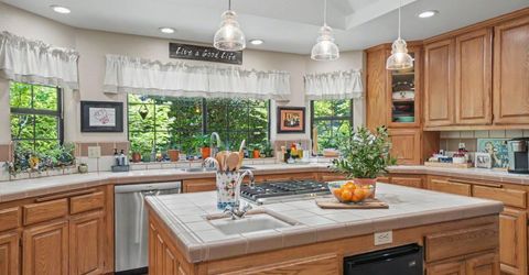 26725 Sugar Pine Dr, Pioneer, CA 95666 Photo