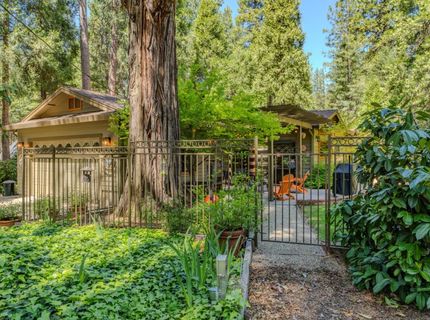 26725 Sugar Pine Dr, Pioneer, CA 95666 Photo