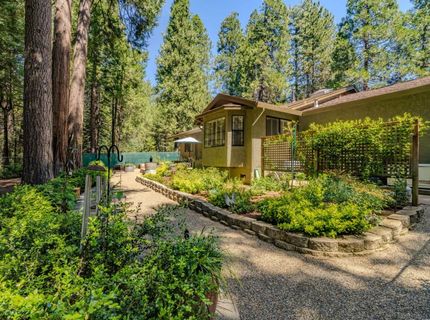 26725 Sugar Pine Dr, Pioneer, CA 95666 Photo