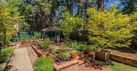 26725 Sugar Pine Dr, Pioneer, CA 95666 Photo