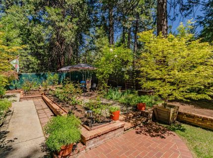 26725 Sugar Pine Dr, Pioneer, CA 95666 Photo