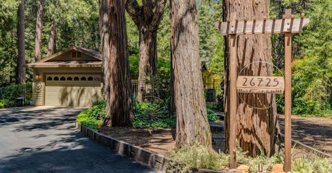 26725 Sugar Pine Dr, Pioneer, CA 95666 Photo