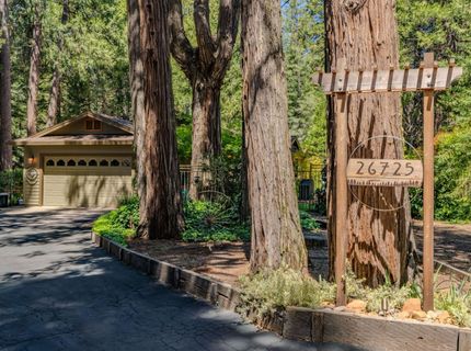 26725 Sugar Pine Dr, Pioneer, CA 95666 Photo