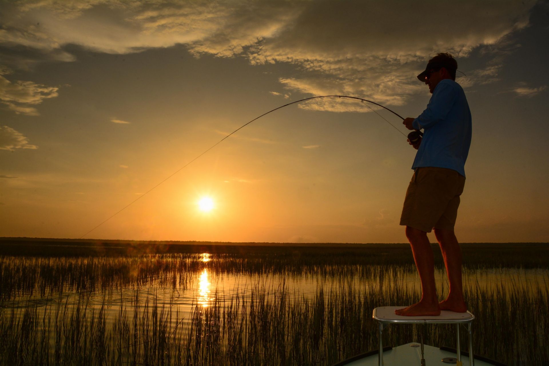 430 Collins Meadow Dr.  Photo 47