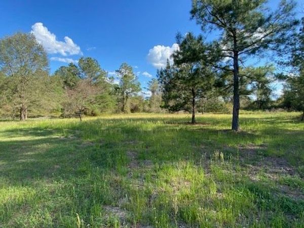 US 129 S, Live Oak, FL 32060