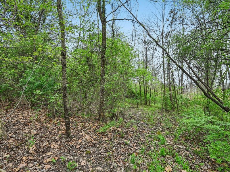 12459 Saylor Road NW, Baltimore, OH 43105 Photo 30