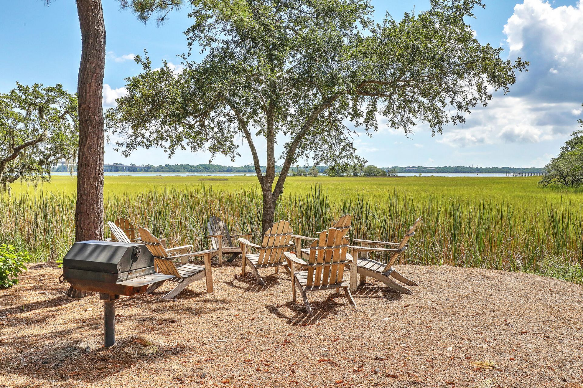 1471 Wando Landing Street Photo 61