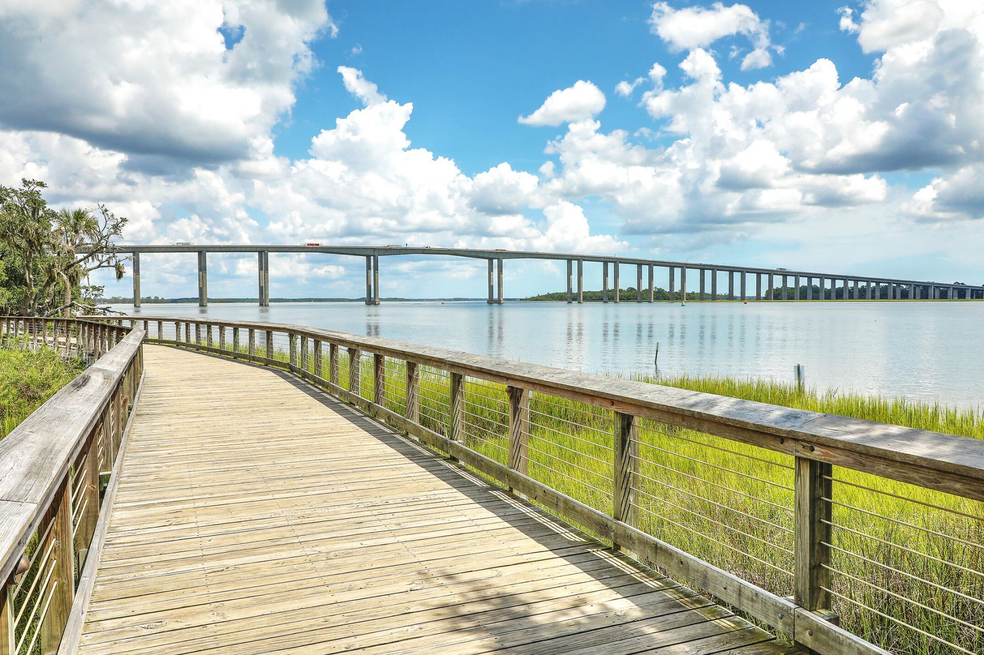 1471 Wando Landing Street Photo 62