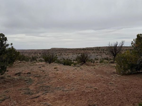 N6124 N N6124, Unit 20245008, St Johns, AZ 85936