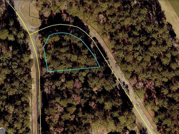 0 Eagle Crest Drive, Unit LOT 46, Waverly, GA 31565