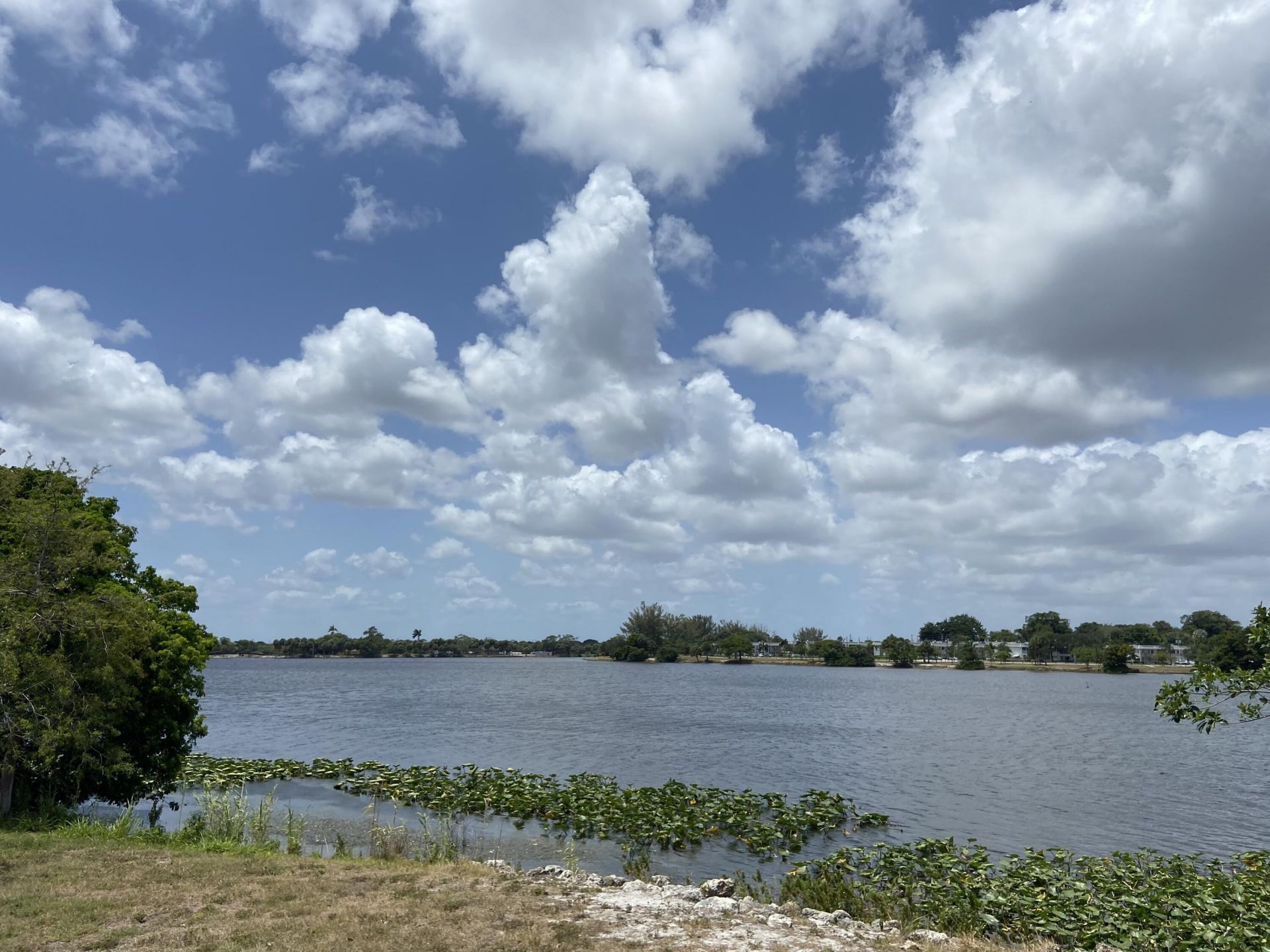 2840 Cynthia Lane, Unit 101, Lake Worth Beach, FL 33461 Photo