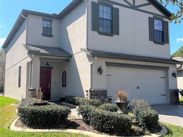 20010 DATE PALM WAY , TAMPA, FL 33647