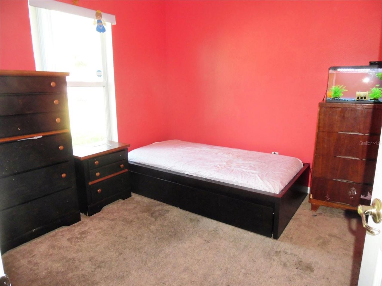 5016 Mcdonald Road , Zellwood, FL 32798 Photo