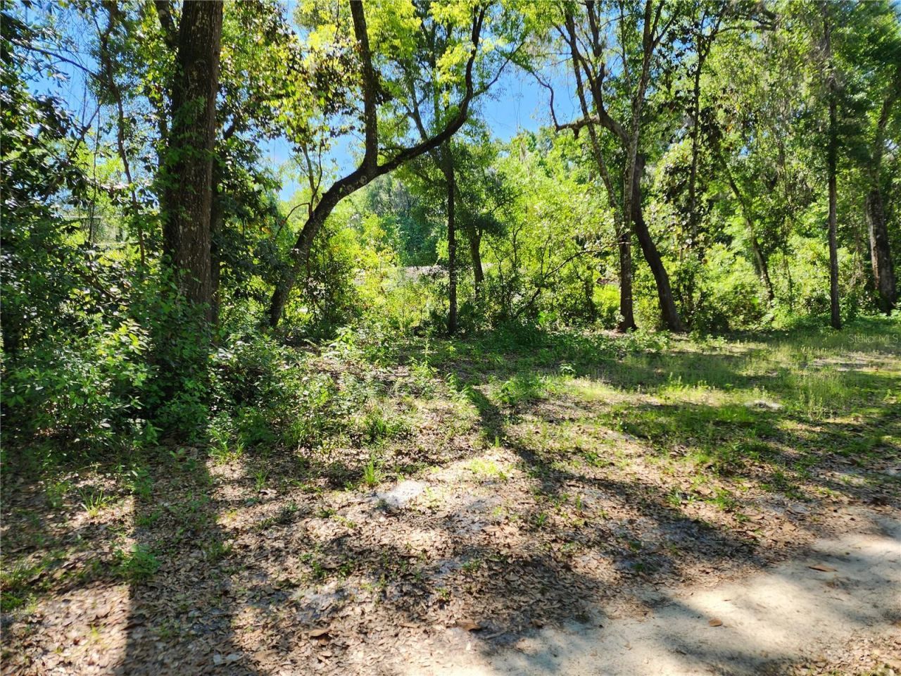 4150 S Spaniel Trail , Inverness, FL 34450 Photo
