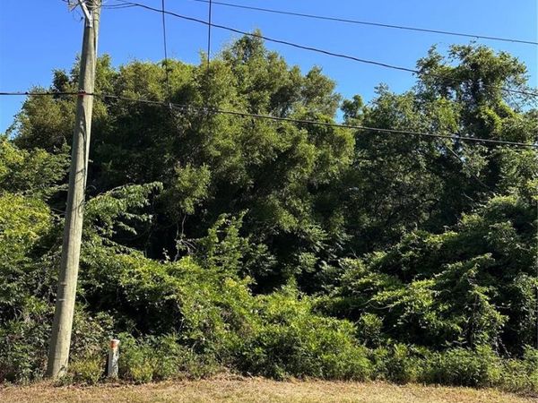 2509 NW 21ST STREET , OCALA, FL 34475