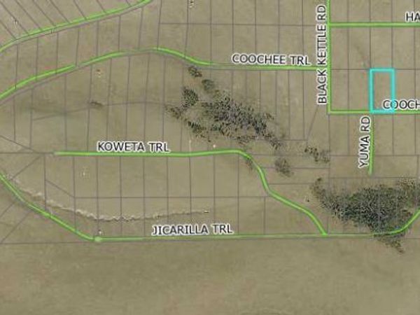 1245 Coochee Trail , Guffey, CO 80820