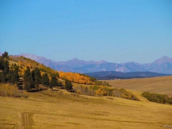 1245 Coochee Trail , Guffey, CO 80820