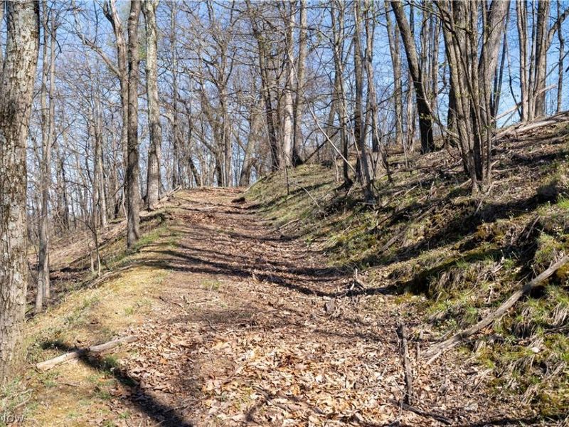 Sealover Hollow Rd Road, Philo, OH 43771 Photo 10