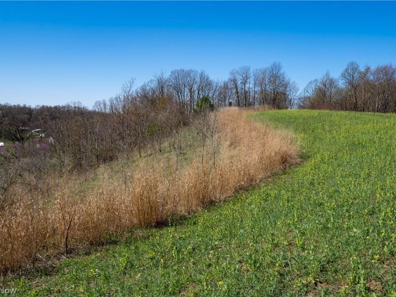 Sealover Hollow Rd Road, Philo, OH 43771 Photo 11