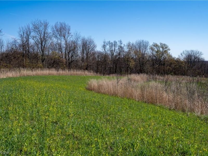 Sealover Hollow Rd Road, Philo, OH 43771 Photo 12