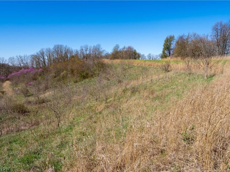 Sealover Hollow Rd Road, Philo, OH 43771 Photo 13