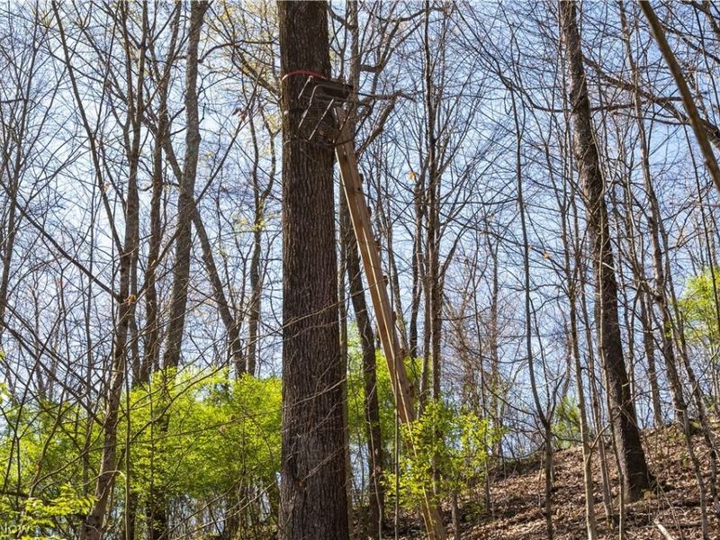 Sealover Hollow Rd Road, Philo, OH 43771 Photo 14