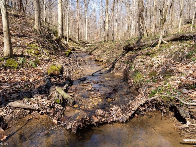 Sealover Hollow Rd Road, Philo, OH 43771 Photo 15
