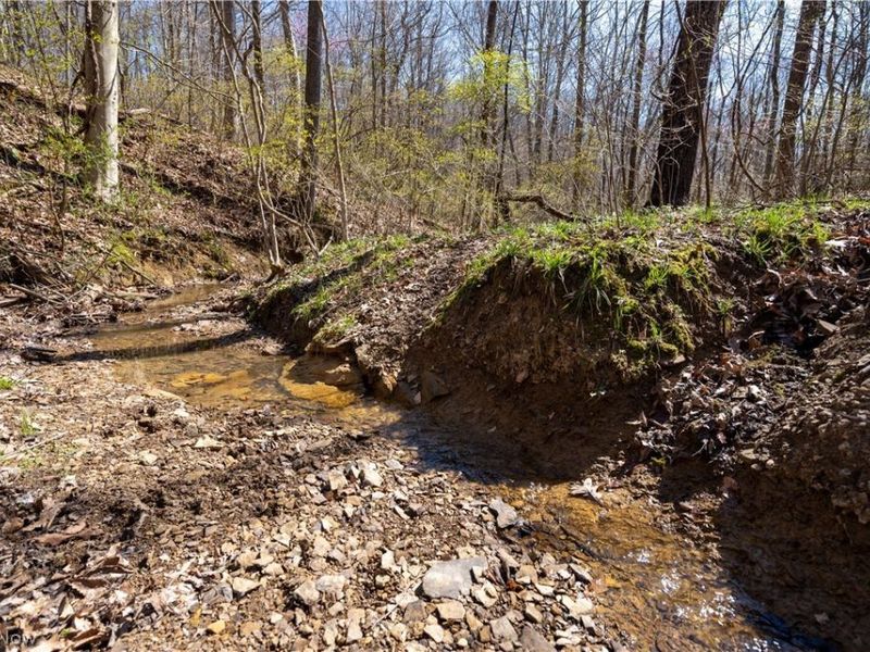 Sealover Hollow Rd Road, Philo, OH 43771 Photo 16