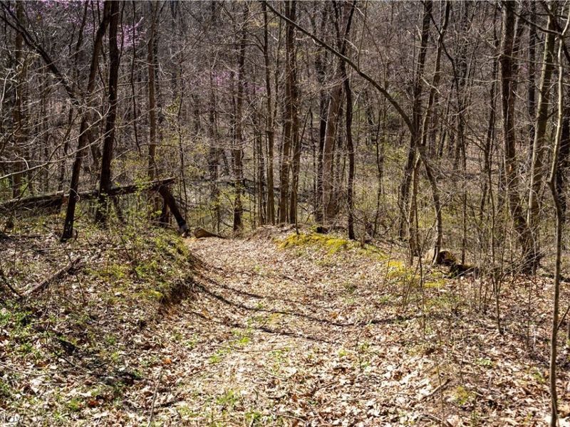 Sealover Hollow Rd Road, Philo, OH 43771 Photo 17