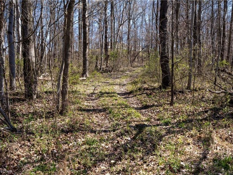 Sealover Hollow Rd Road, Philo, OH 43771 Photo 19