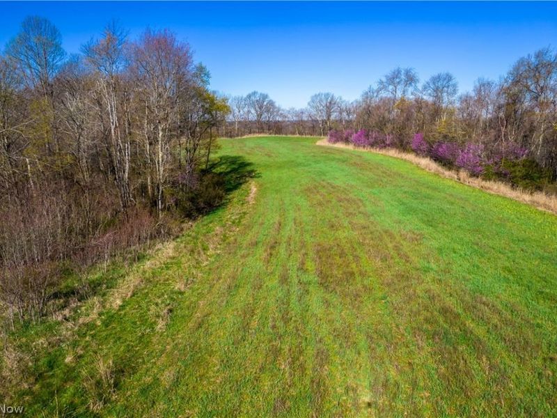 Sealover Hollow Rd Road, Philo, OH 43771 Photo 2