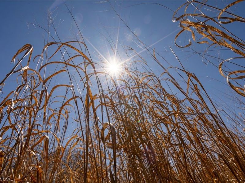 Sealover Hollow Rd Road, Philo, OH 43771 Photo 20