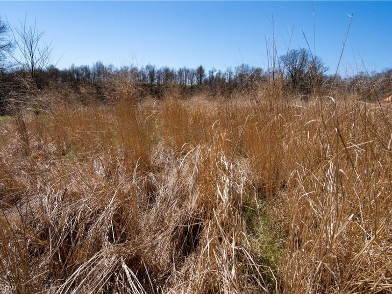 Sealover Hollow Rd Road, Philo, OH 43771 Photo 21