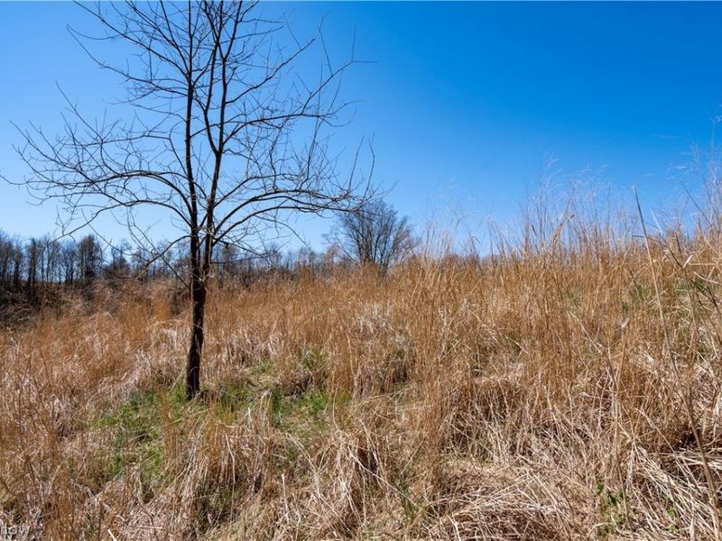 Sealover Hollow Rd Road, Philo, OH 43771 Photo 22