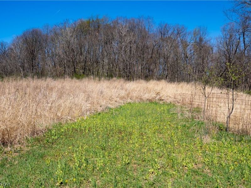 Sealover Hollow Rd Road, Philo, OH 43771 Photo 23