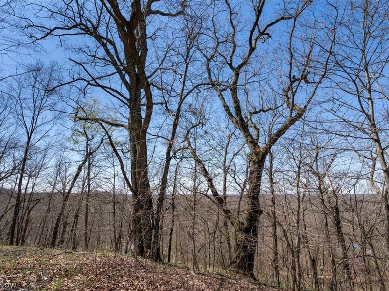 Sealover Hollow Rd Road, Philo, OH 43771 Photo 25