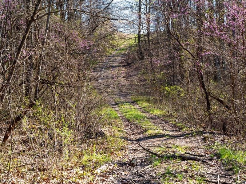 Sealover Hollow Rd Road, Philo, OH 43771 Photo 26